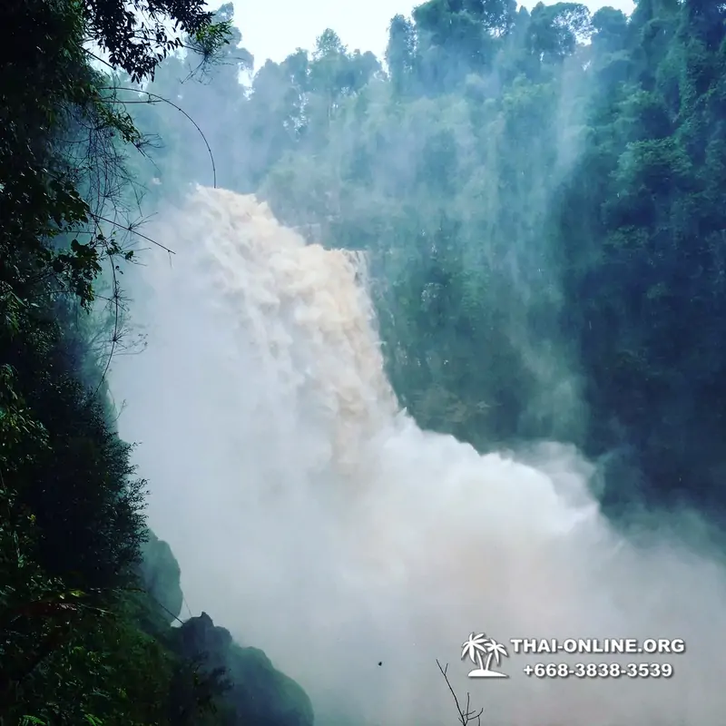 Trip Khao Yai, Land of Waterfalls from Pattaya Thailand photo 109