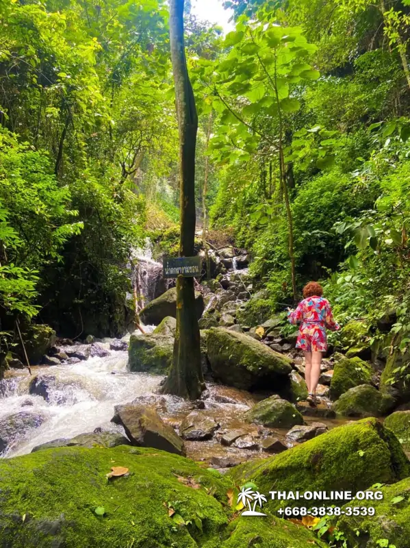 Trip Khao Yai, Land of Waterfalls from Pattaya Thailand photo 119