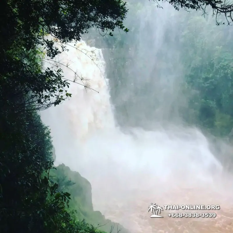 Trip Khao Yai, Land of Waterfalls from Pattaya Thailand photo 108
