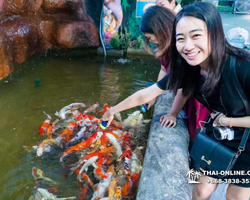 Monster Aquarium tour from Thailand Pattaya - photo 3