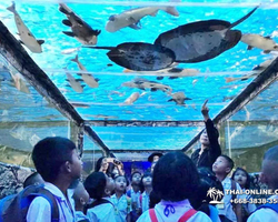 Monster Aquarium tour from Thailand Pattaya - photo 5