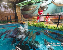 Monster Aquarium tour from Thailand Pattaya - photo 40