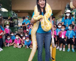 Monster Aquarium tour from Thailand Pattaya - photo 6