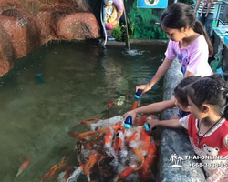 Monster Aquarium tour from Thailand Pattaya - photo 1