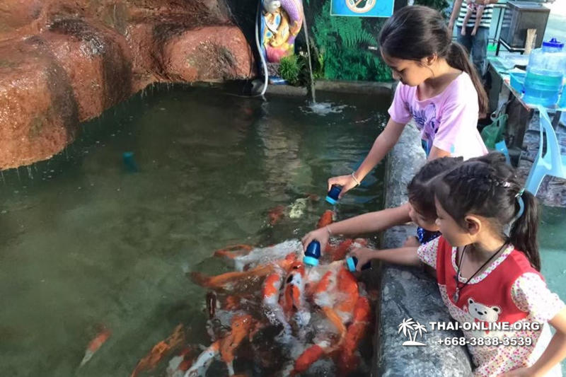 Monster Aquarium tour from Thailand Pattaya - photo 1