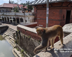 Nepal Kathmandu tour from Thailand Pattaya - photo 37