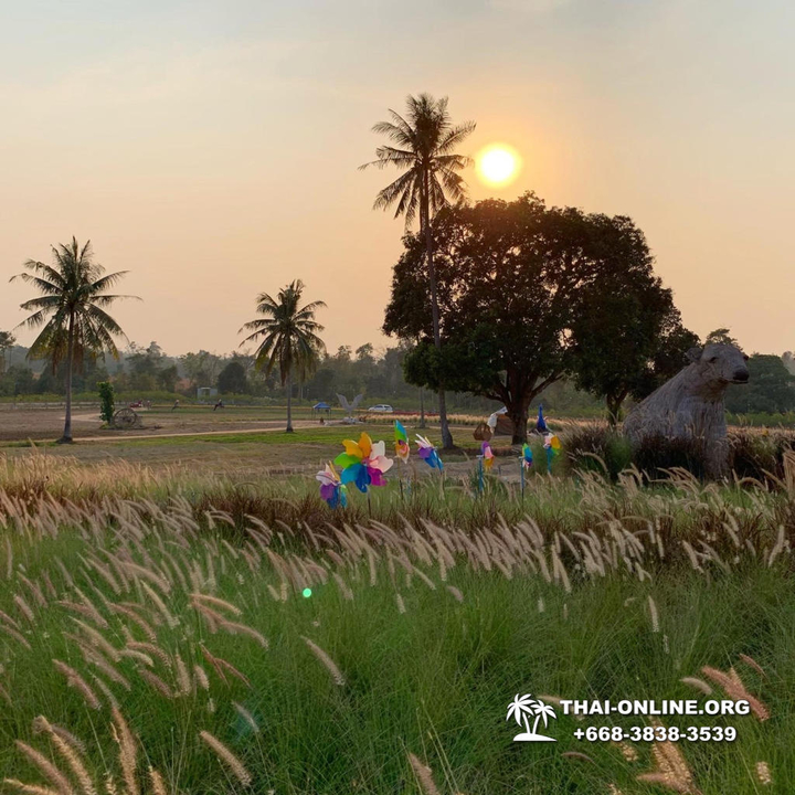 Instagram Tour Chonburi trip from Pattaya Thailand photo 331