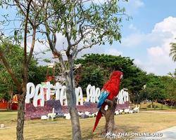 Instagram Tour Pattaya 1 day excursion in Thailand photo 37