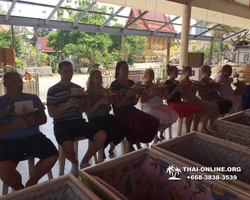 Instagram Tour Pattaya 1 day excursion in Thailand photo 181