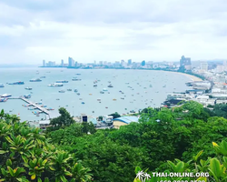Instagram Tour Pattaya 1 day excursion in Thailand photo 118