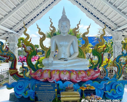 Instagram Tour Pattaya 1 day excursion in Thailand photo 233
