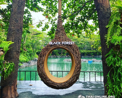 Instagram Tour Pattaya 1 day excursion in Thailand photo 265