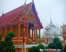 Instagram Tour Pattaya 1 day excursion in Thailand photo 133