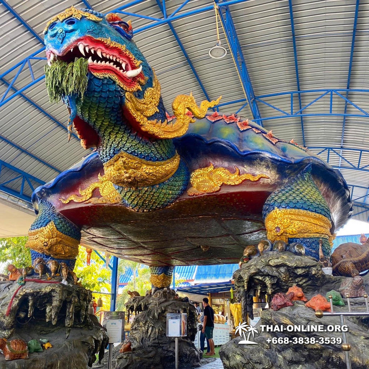 Instagram Tour Pattaya 1 day excursion in Thailand photo 234