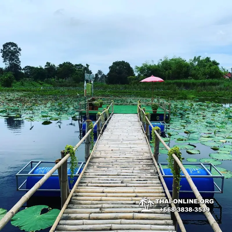 Instagram Tour Pattaya 1 day excursion in Thailand photo 96