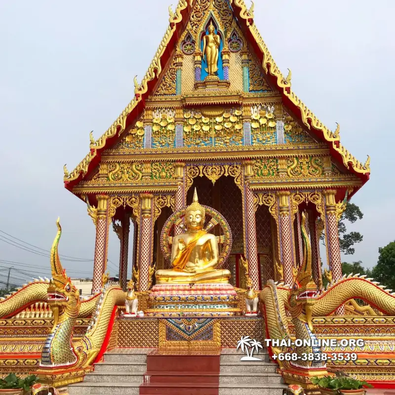 Instagram Tour Pattaya 1 day excursion in Thailand photo 53