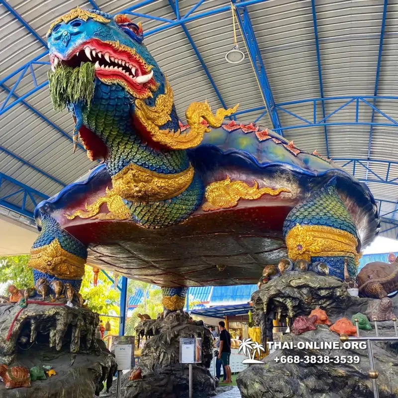 Instagram Tour Pattaya 1 day excursion in Thailand photo 40