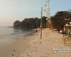 Koh Samet Economy travel from Pattaya with Sea Breeze hotel photo 186