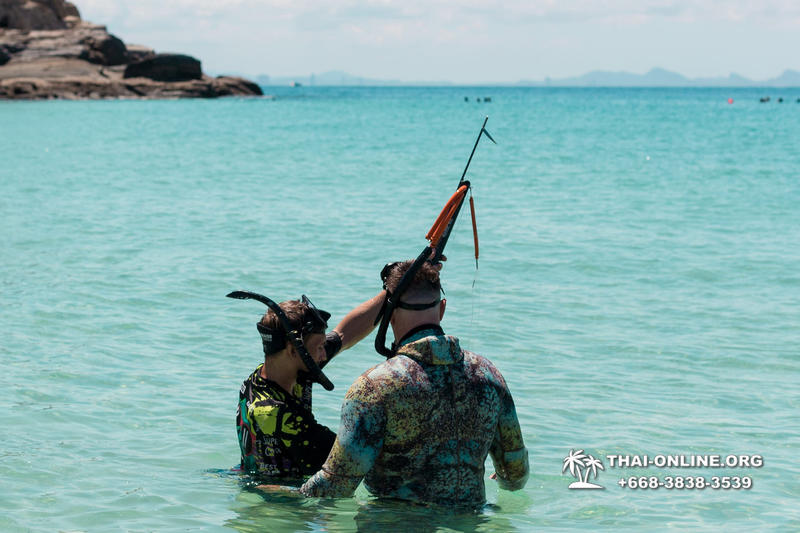 Thailand Pattaya spearfishing on Koh Larn - photo 33