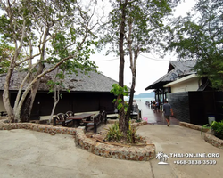 Koh Ngam, Phi Phi Noi excursion in Pattaya Thailand photo 84