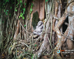 Thai Express 1 day excursion in Pattaya Thailand photo 31