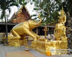 Secret of Siam trip to Chachoengsao from Pattaya Thailand photo 85