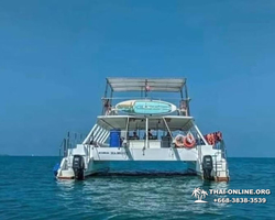 Catamaran Sea Breeze sea trip from Pattaya Thailand - photo 44