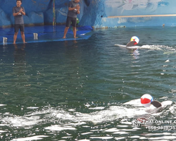 Pattaya Dolphin World show & swim with dolphins in Thailand photo 101
