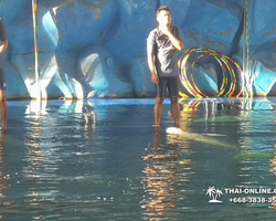Pattaya Dolphin World show & swim with dolphins in Thailand photo 96