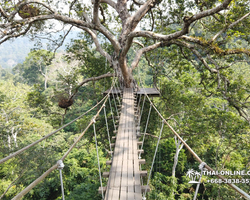 Pattaya Flight of the Gibbon jungle zipline in Thailand photo 20
