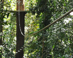 Pattaya Flight of the Gibbon jungle zipline in Thailand photo 3