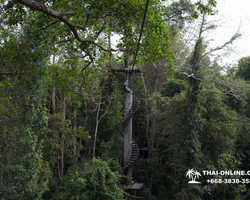 Pattaya Flight of the Gibbon jungle zipline in Thailand photo 23