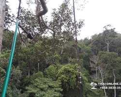 Pattaya Flight of the Gibbon jungle zipline in Thailand photo 27