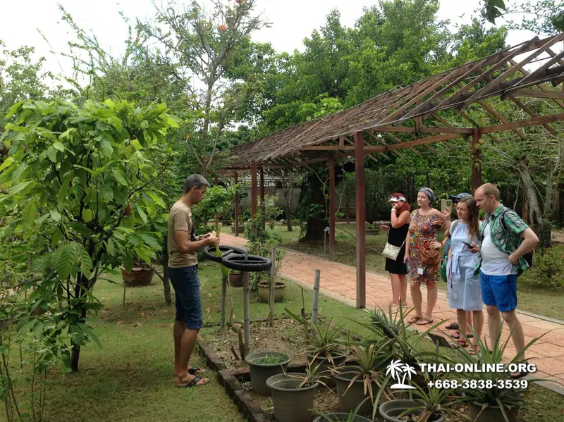 Asian Spice Garden Pattaya Thailand photo 1