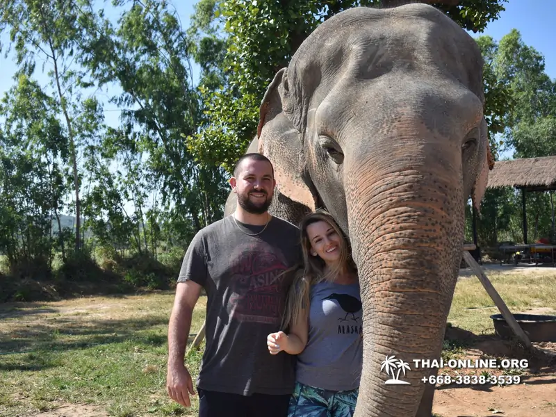 Elephant jungle sanctuary pattaya, elephant jungle sanctuary pattaya ethical, elephant jungle sanctuary pattaya thailand, elephant jungle sanctuary pattaya price, elephant jungle sanctuary pattaya location, elephant jungle sanctuary half day, elephant jungle sanctuary morning trip, elephant jungle sanctuary afternoon trip, elephant jungle sanctuary tour, elephant jungle sanctuary experience - excursion photo 10