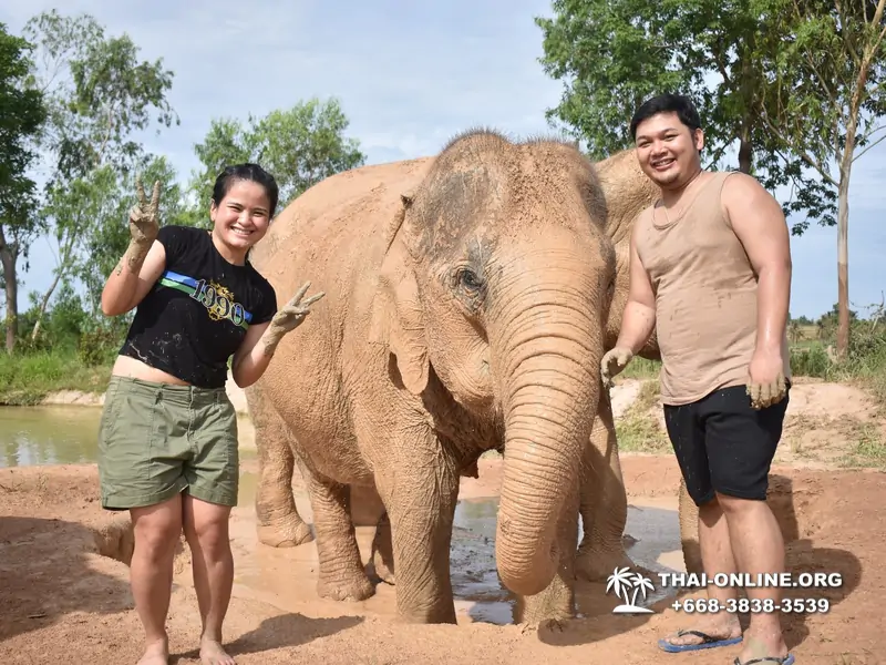 Elephant jungle sanctuary pattaya, elephant jungle sanctuary pattaya ethical, elephant jungle sanctuary pattaya thailand, elephant jungle sanctuary pattaya price, elephant jungle sanctuary pattaya location, elephant jungle sanctuary half day, elephant jungle sanctuary morning trip, elephant jungle sanctuary afternoon trip, elephant jungle sanctuary tour, elephant jungle sanctuary experience - excursion photo 13