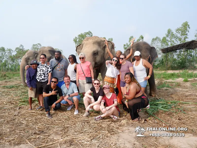 Elephant jungle sanctuary pattaya, elephant jungle sanctuary pattaya ethical, elephant jungle sanctuary pattaya thailand, elephant jungle sanctuary pattaya price, elephant jungle sanctuary pattaya location, elephant jungle sanctuary half day, elephant jungle sanctuary morning trip, elephant jungle sanctuary afternoon trip, elephant jungle sanctuary tour, elephant jungle sanctuary experience - excursion photo 15