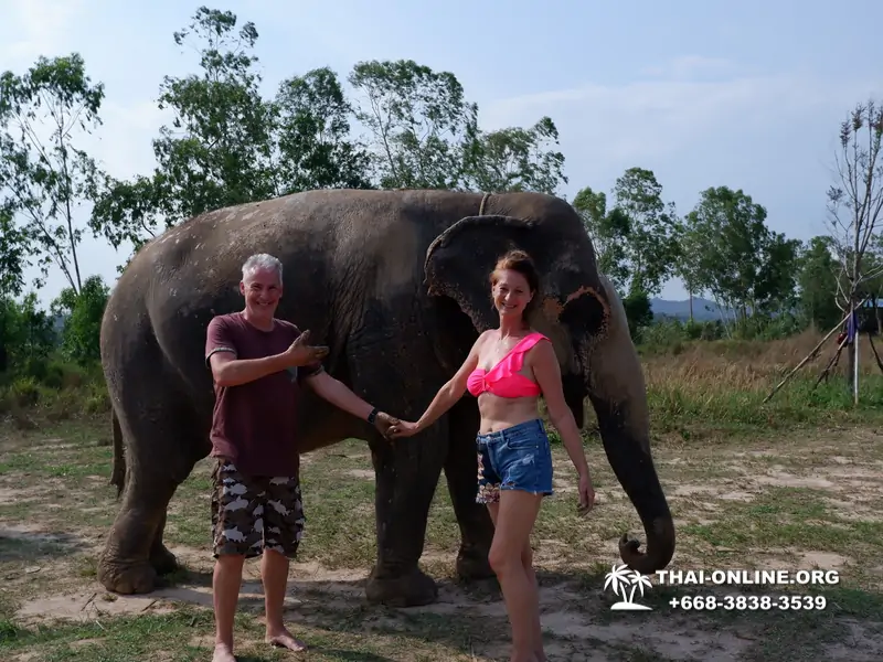 Elephant jungle sanctuary pattaya, elephant jungle sanctuary pattaya ethical, elephant jungle sanctuary pattaya thailand, elephant jungle sanctuary pattaya price, elephant jungle sanctuary pattaya location, elephant jungle sanctuary half day, elephant jungle sanctuary morning trip, elephant jungle sanctuary afternoon trip, elephant jungle sanctuary tour, elephant jungle sanctuary experience - excursion photo 31