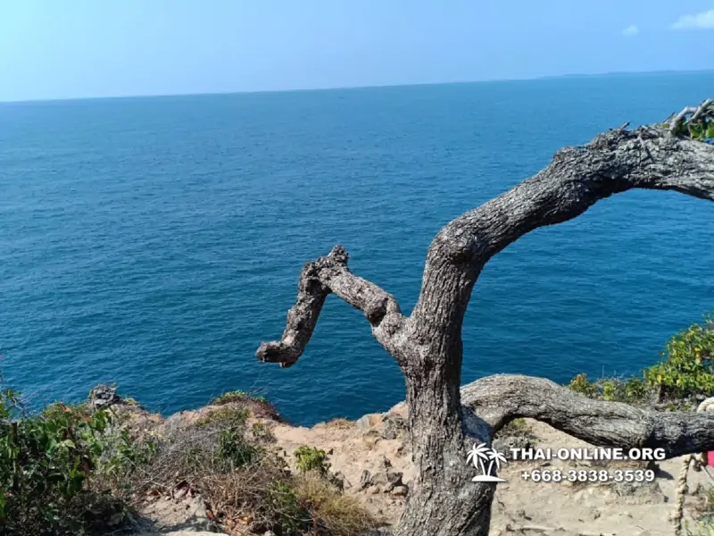 Pink Island of Koh Ta Lu Pattaya, snorkeling excursions in Thailand photo 14