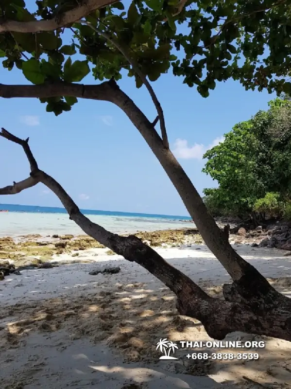 Pink Island of Koh Ta Lu Pattaya, snorkeling excursions in Thailand photo 19