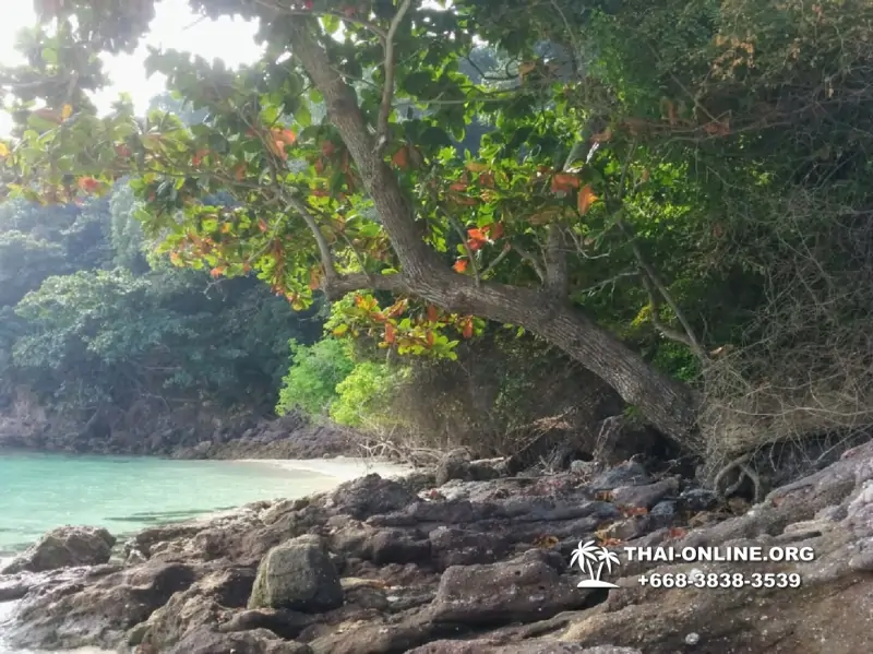 Pink Island of Koh Ta Lu Pattaya, snorkeling excursions in Thailand photo 2