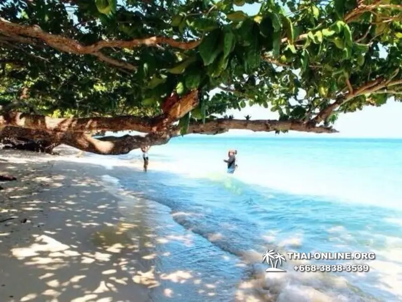 Pink Island of Koh Ta Lu Pattaya, snorkeling excursions in Thailand photo 25