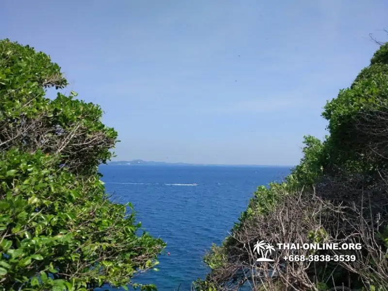 Pink Island of Koh Ta Lu Pattaya, snorkeling excursions in Thailand photo 30