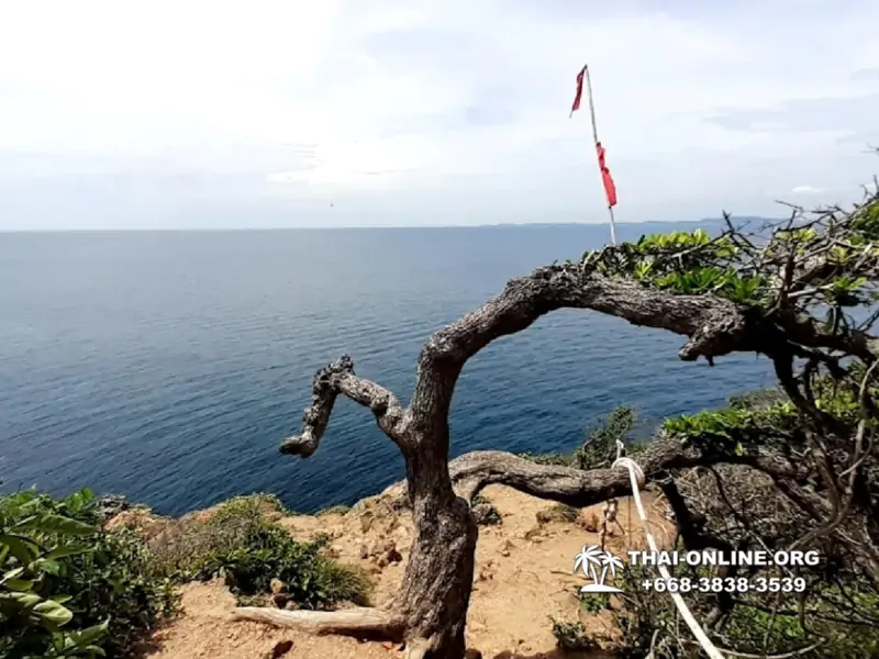 Pink Island of Koh Ta Lu Pattaya, snorkeling excursions in Thailand photo 31