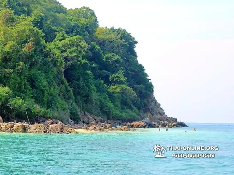 Pink Island of Koh Ta Lu Pattaya, snorkeling excursions in Thailand photo 33