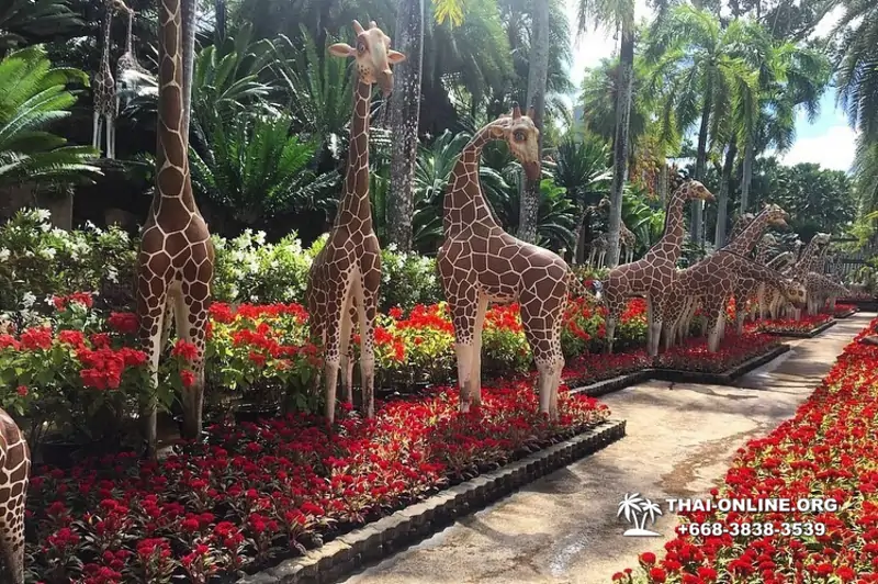 Nong Nooch Tropical Garden in Pattaya Thailand photo 13