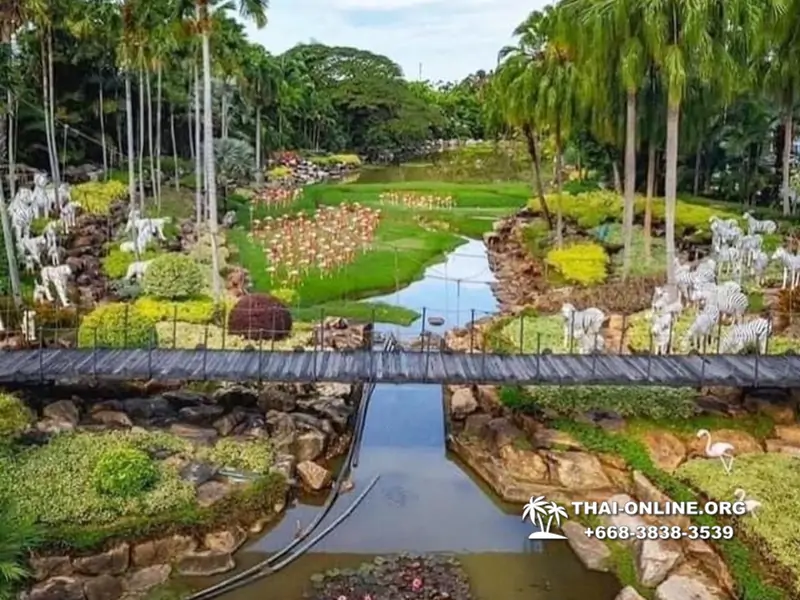 Nong Nooch Tropical Garden in Pattaya Thailand photo 50