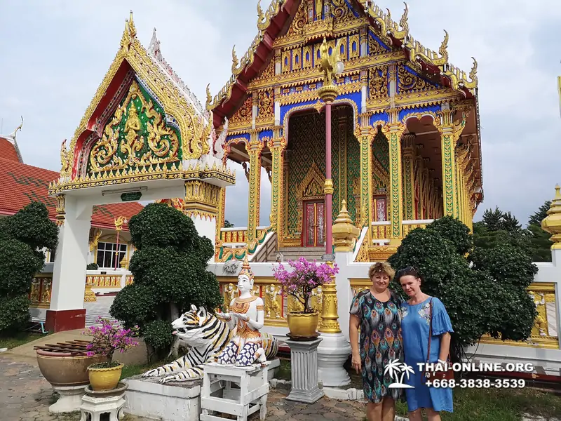 Wat Yan Temples excursion in Pattaya photo 24