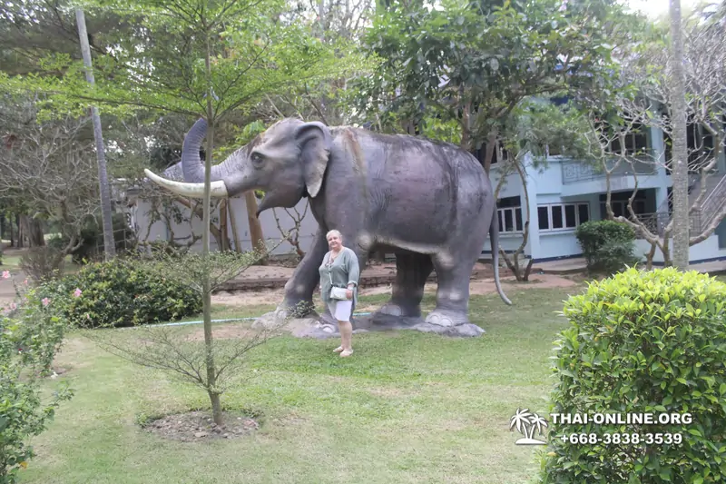 Wat Yan Temples excursion in Pattaya photo 55